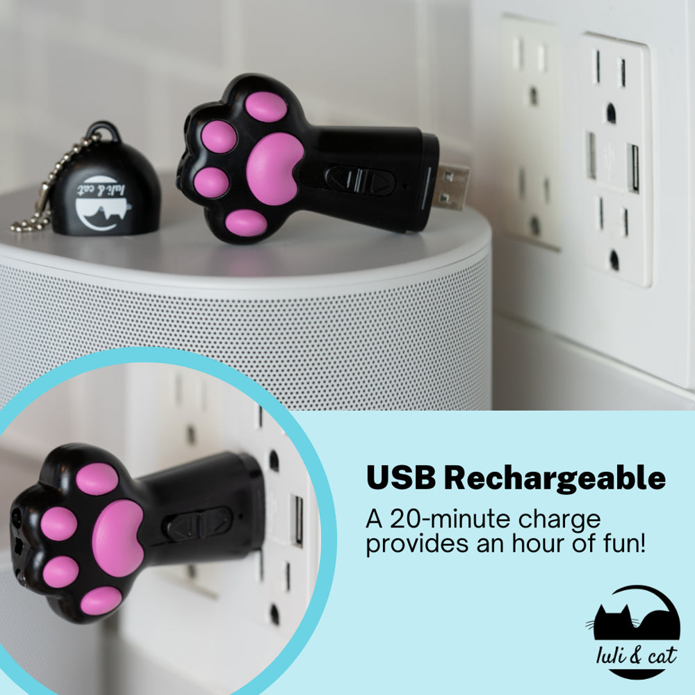 Cute and Funny Cat Laser Toy | USB Rechargeable Laser Light Toy