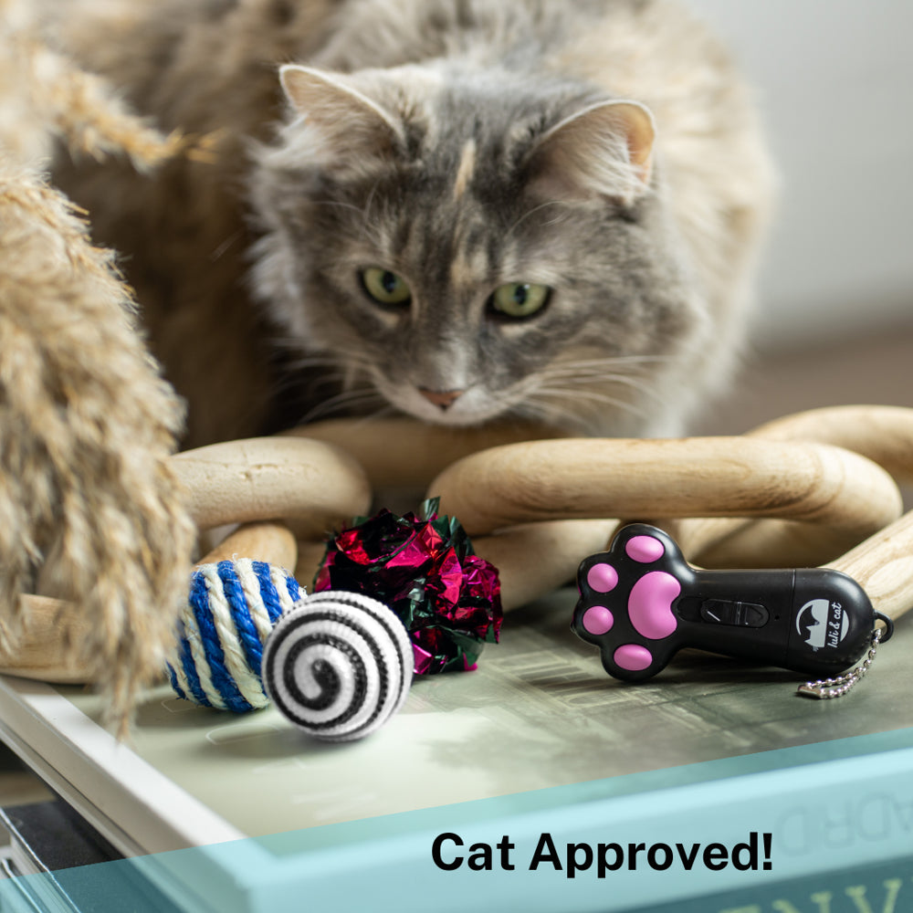 Cute and Funny Cat Laser Toy | USB Rechargeable Laser Light Toy 